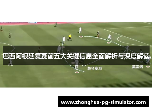 巴西阿根廷复赛前五大关键信息全面解析与深度解读