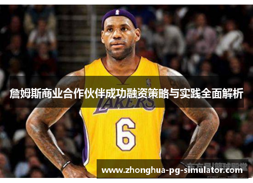 詹姆斯商业合作伙伴成功融资策略与实践全面解析 詹姆斯商业合作伙伴成功融资策略与实践全面解析