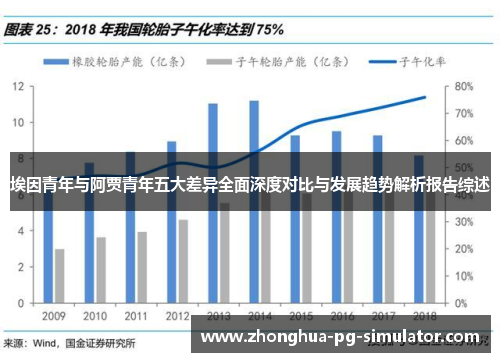 埃因青年与阿贾青年五大差异全面深度对比与发展趋势解析报告综述