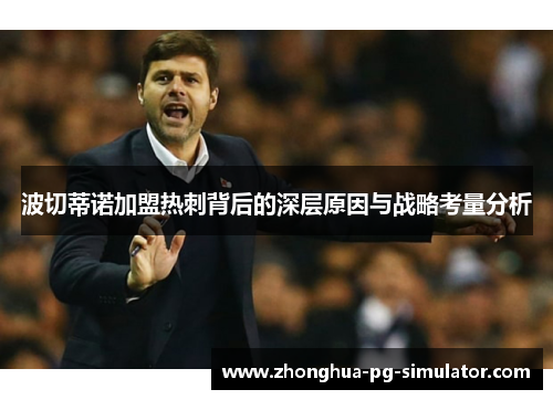 波切蒂诺加盟热刺背后的深层原因与战略考量分析