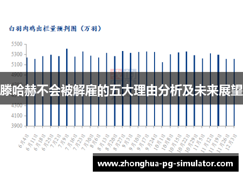 滕哈赫不会被解雇的五大理由分析及未来展望
