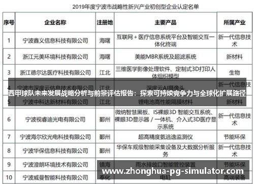 西甲球队未来发展战略分析与前景评估报告：探索可持续竞争力与全球化扩展路径