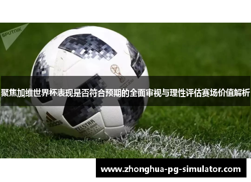 聚焦加维世界杯表现是否符合预期的全面审视与理性评估赛场价值解析 聚焦加维世界杯表现是否符合预期的全面审视与理性评估赛场价值解析